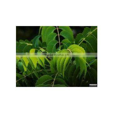 Neem oil manufacturer