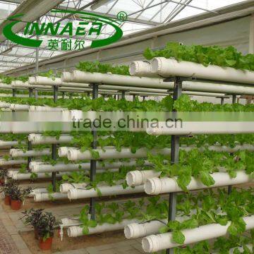 High quality homegrown Planting trough for greens planting
