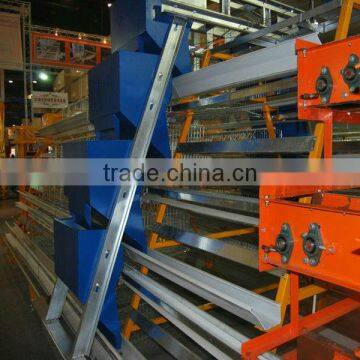 automatic broiler feeding system
