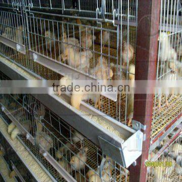 New desigh H Type Pullet Chicken Cage