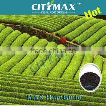 Humus Soil Humic Acid Granular