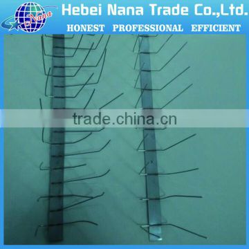 Metal stainless steel bird spike / Anti bird products / bird spike