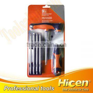 10-in-1 T-handle Screwdriver Set