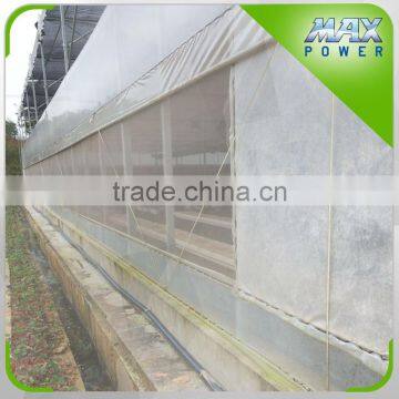 Aluminum Frame and EVA Film Covering Green House