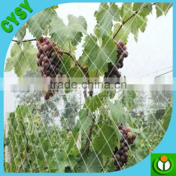 Plastic Bird wire mesh Vineyard Bird net cage