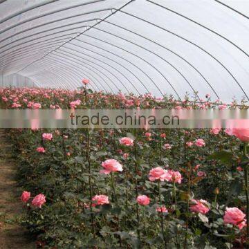 Factory Price From China for Tunnel Agricultural Use photo-3