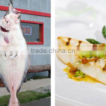 Pacific Halibut