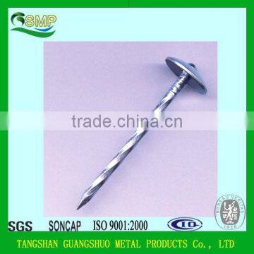 Electro Galvanized Umbrella Head Roofing Nail, Blue zinc coated nails, twisted shank nails