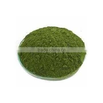 Moringa Leaf Powder photo-4