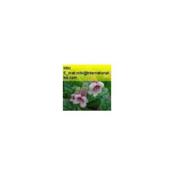Rehmannia glutinosa extract