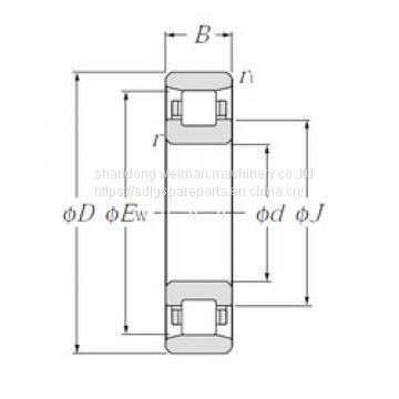 Cylindrical Roller Bearings