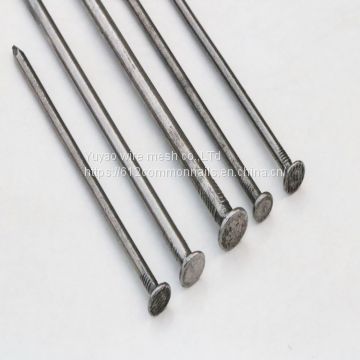 3'' common wire nail for construction nails