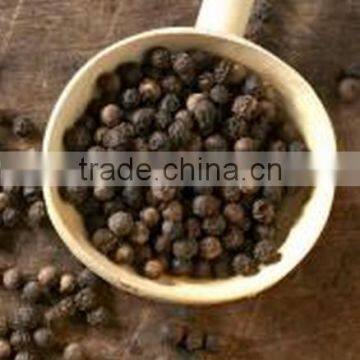 Black Pepper High Quality 500- 550- 600gl