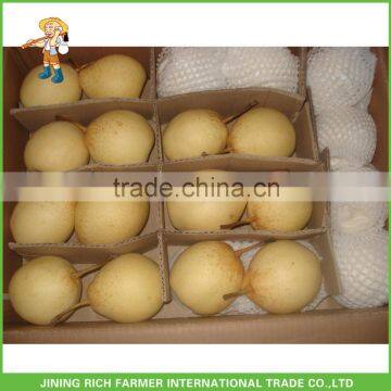 Chinese Ya Pear Fresh Ya Pear
