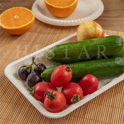 Recyclable Eco-friendly Cake and Dessert Tray photo-3