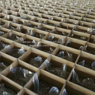 Walnut Kernel With Out Shell photo-2