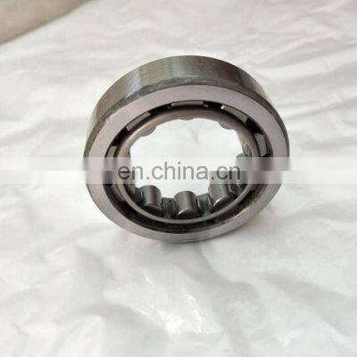Cylindrical Roller Bearing RNU204 RNU 204