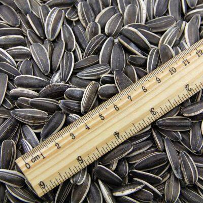 Chinese High Quality Organic Melon Seeds Wholesale Bulk Sunflower Seeds Kernel photo-4