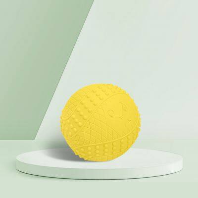 Squeaky Ball photo-4