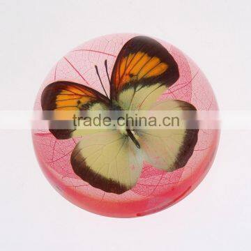 2016 Newly paperweight with real butterfly