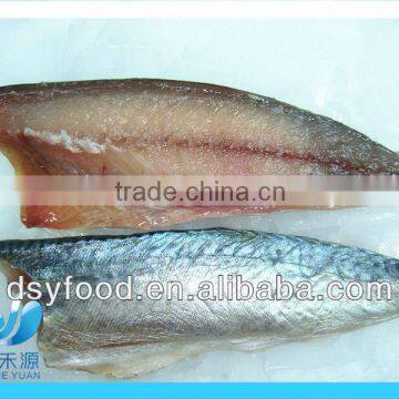 frozen mackerel fillet