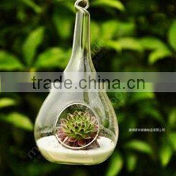 Hanging Water Drop Shaped Glass Vase, Air Plant Terrarium, Flat Bottom, Home Decoration