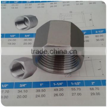 1" Female Thread Cap Fitting With Hexagonal Head 316 Stainless Steel