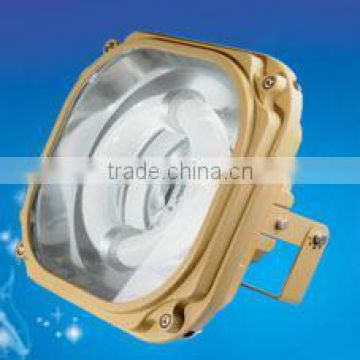 Hot selling magnetic explosion proof induction lamp (RZHL710)