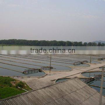 Gmp Factory Supply Organic Spirulina Tablet photo-4