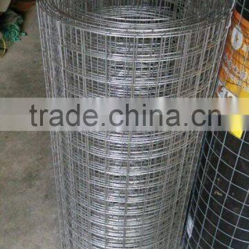 Guangzhou decoration / construction galvanized welded wire mesh(factory price!!!)