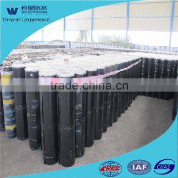 ISO9001 certified! 3mm 4mm app polyester waterproof membrane