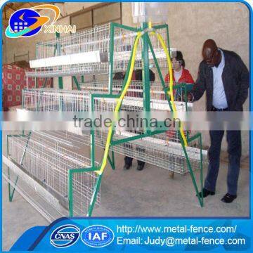 A type high quality poultry chichen cage for sale