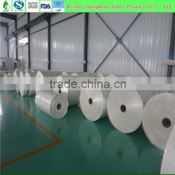 PE coated paper in roll