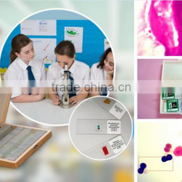 students glass slides,chick embryo microscope slides