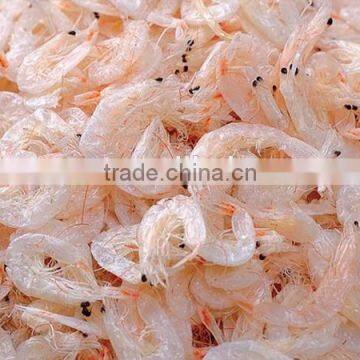 wholesale dried fresh water baby shrimp seafood