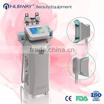 Double Chin Removal Freezing Fat Cryolipolysi Machine / Fat Reduce Frozen Slimming Equipment / Cryolipolysi Equipment 220 / 110V