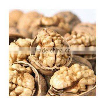 walnuts in shell or kernel have good quality and cheap price