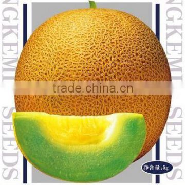 Hybrid F1 yellow peel green flesh round muskmelonseeds cantaloupe seeds for growing-Super early honey