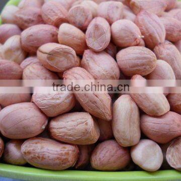 PINK SKIN PEANUT KERNEL FROM INDIA