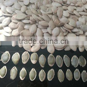 Shine Skin Pumpkin Seeds in Shell 10mm up