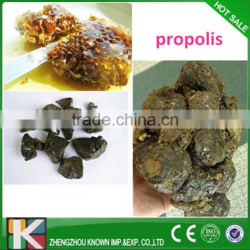 beekeeper supplier Raw Bee Propolis/Original Bee Propolis price