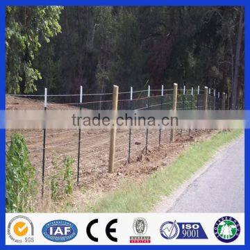 Low Price Good Quality Good Service Painted Metal Studded T Post photo-4