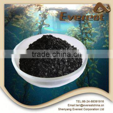 Liaoning factory price 100% natural green dried seaweed