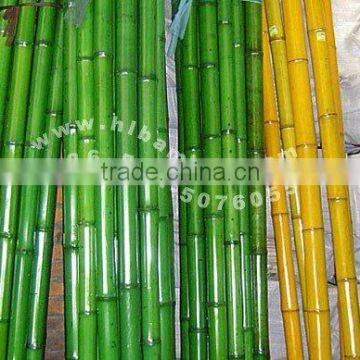 Colored Bamboo Pole 1.25" (HL-CLBP5)