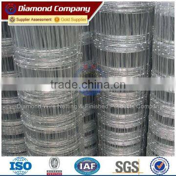 hog wire fencing