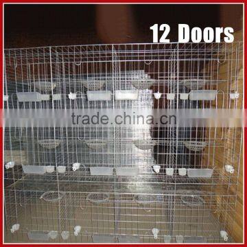 Cheap Pigeon Cage/Pigeon Breeding Cage/Design Pigeon Cage photo-3