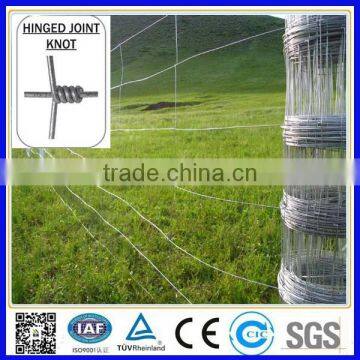 wholesale bulk cattle fence/cattle fence post