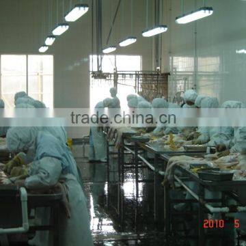 Poultry Processing Up to 8,000bph 008618052092685