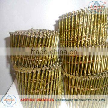 High Quality EG Ring Shank Coil Nails ( ISO 9001 Manufacturer )