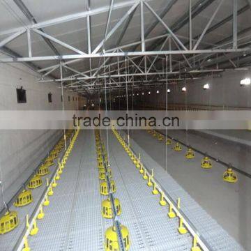 automatic poultry chicken farm Equipment for broiler